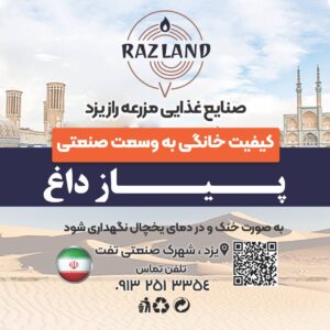 پیاز داغ صنعتی